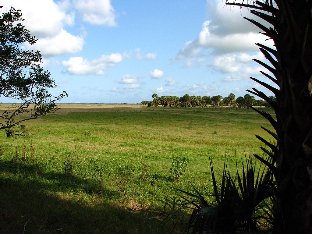 [5-4+Pawpaw+Mound-Resized.jpg]