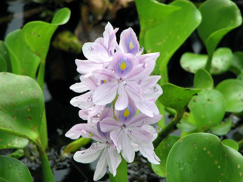 [2007_0704_101514-Resized+(Medium).jpg]