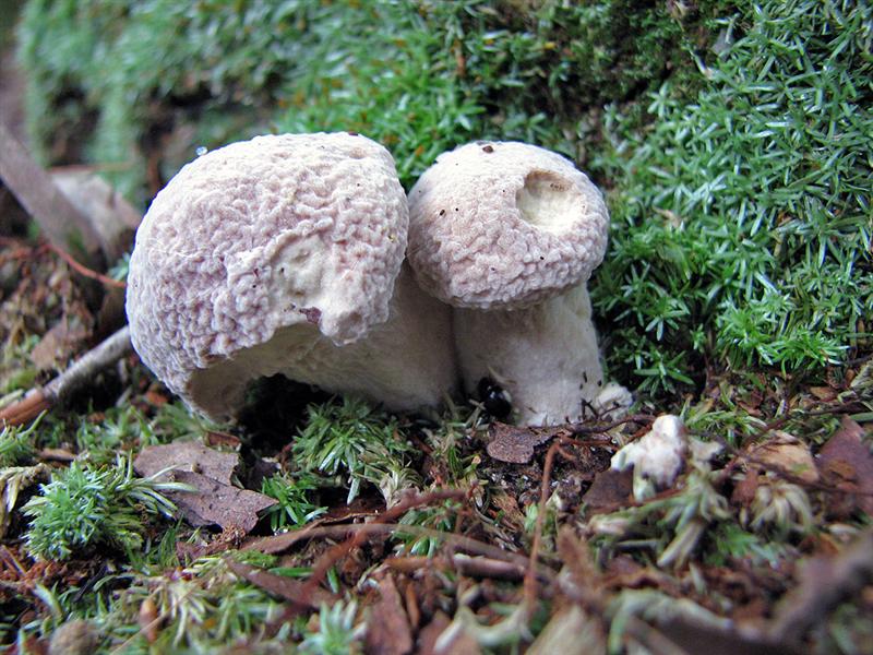 [2007_0704_092806-Resized+(Medium).jpg]