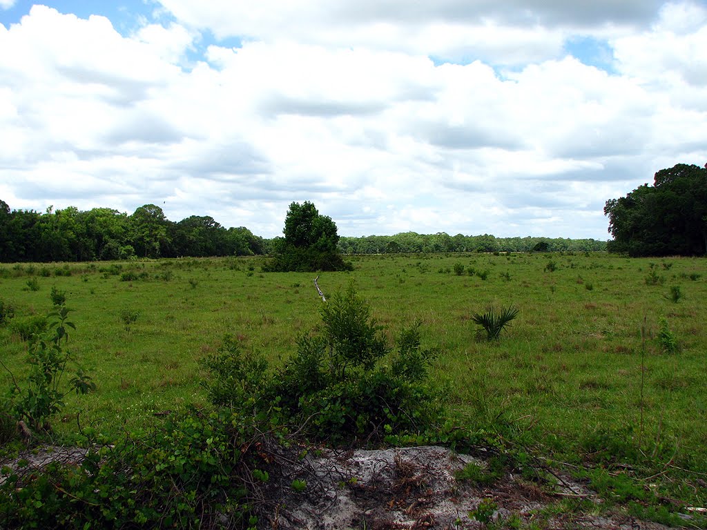 [2008_0526_115643-Resized.jpg]