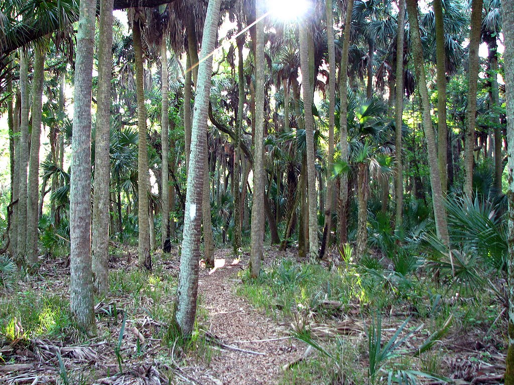 [2008_0329_085938-Resized.jpg]