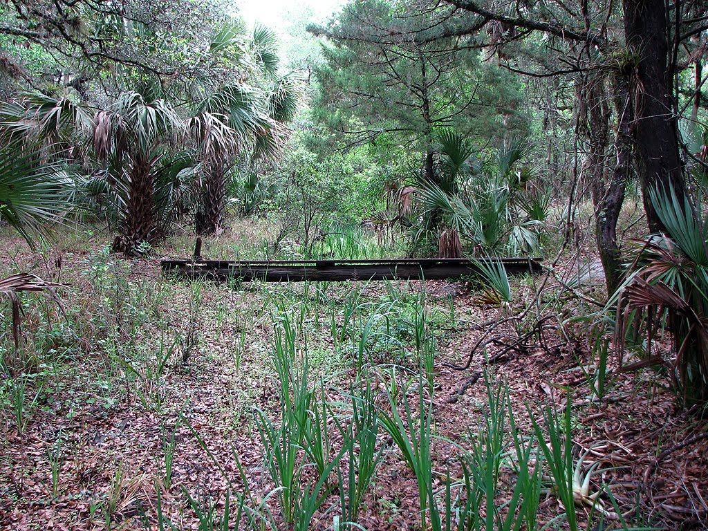 [2009_0401_100845-Resized.jpg]