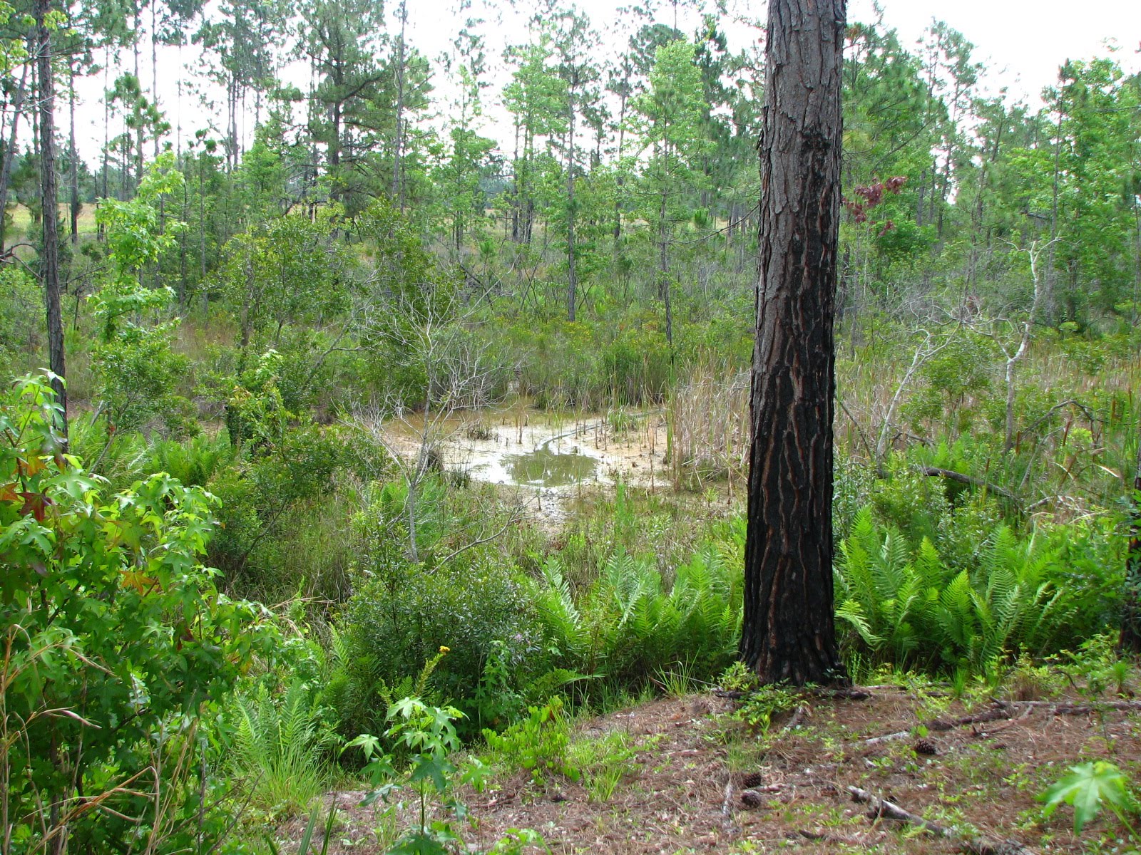 [2007_0529_094843.JPG]