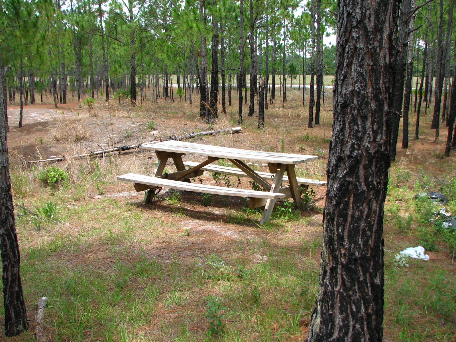 [2007_0529_141211.JPG]