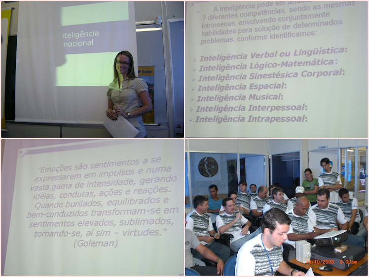 Palestra Inteligência Emocional - GERDAU - SJRIOPRETO