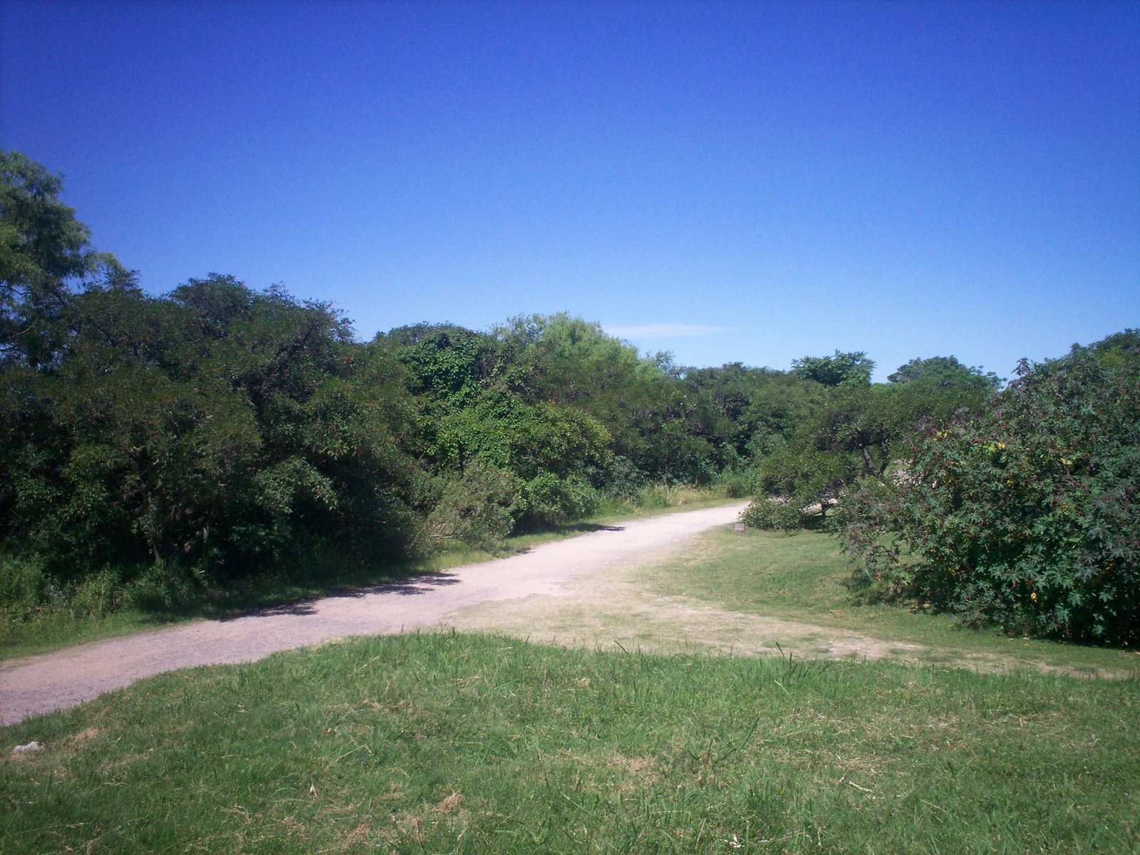 [100_0431.JPG]