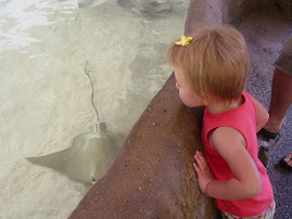 petting the sting rays
