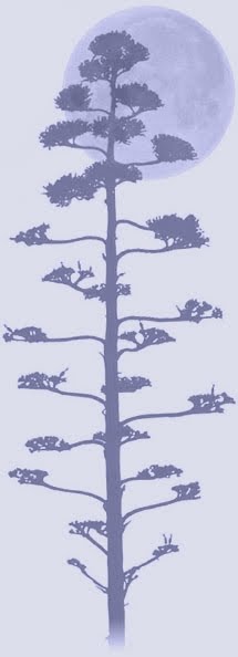 [MoonAndTree3.jpg]