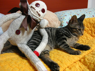 sock monkey vs cat