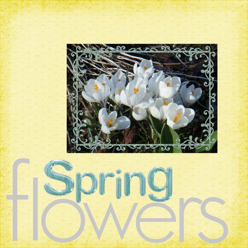 [Spring+flowers.jpg]