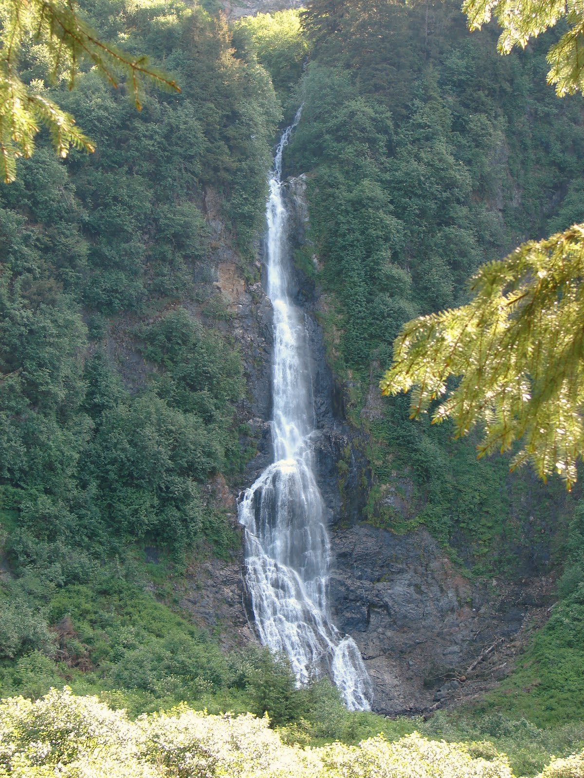 Larsens do Alaska Hiking Herring Cove Sitka,AK.