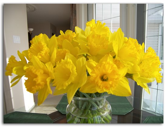 [Daffodils2.jpg]
