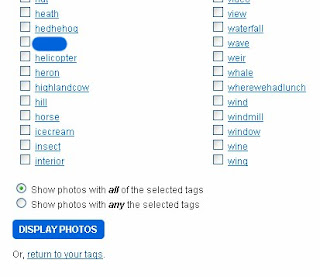 Searching my own Flickr photos using multiple tags
