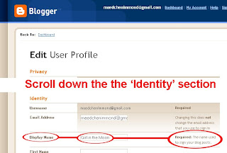 Screenshot of Blogger profile editing page