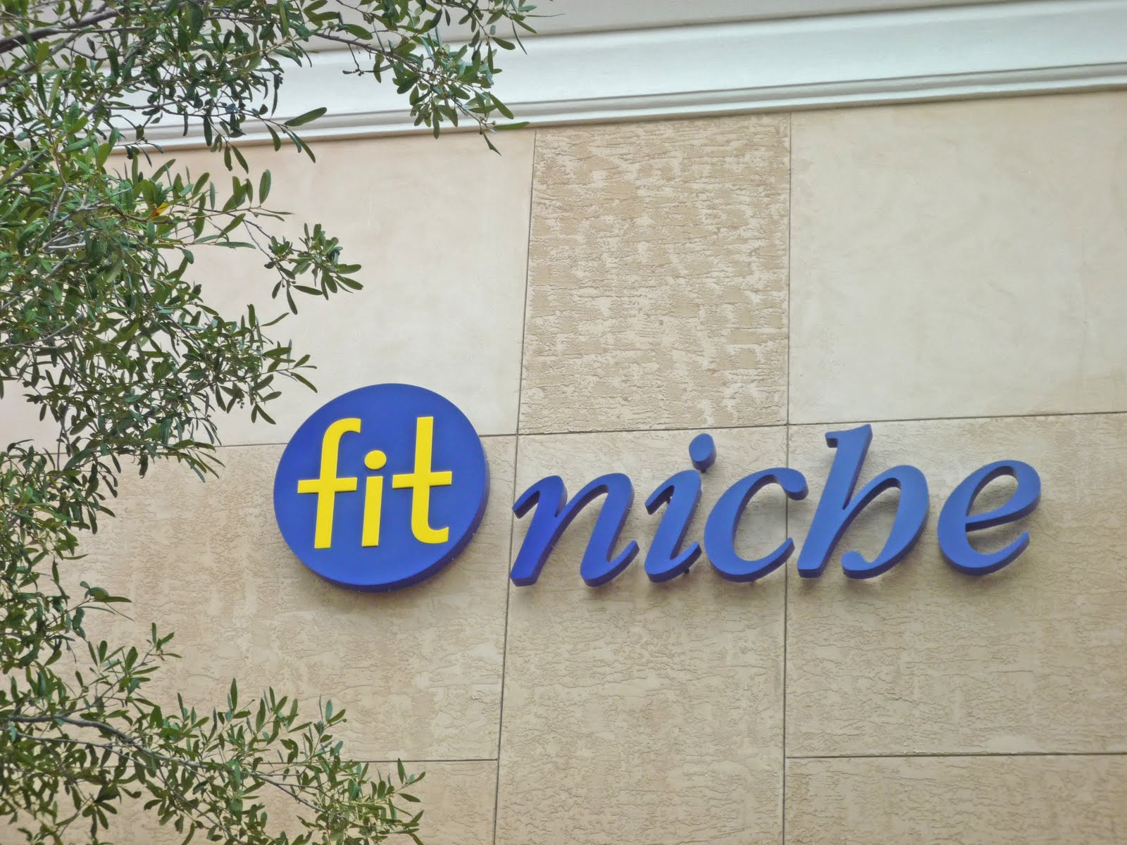 New Tampa And Wesley Chapel Fl Fitniche To Open At The Shops At