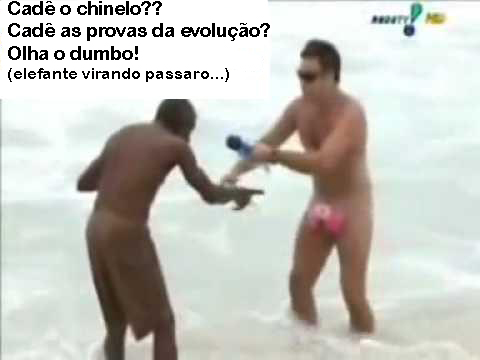 Cad%C3%AA+o+chinelo+cad%C3%AA+as+provas+da+evolu%C3%A7%C3%A3o.jpg