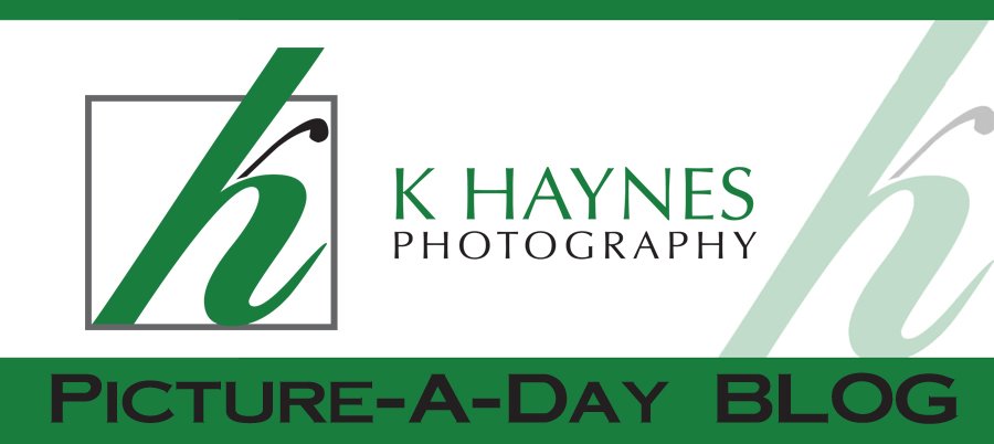 KHaynes Picture-A-Day