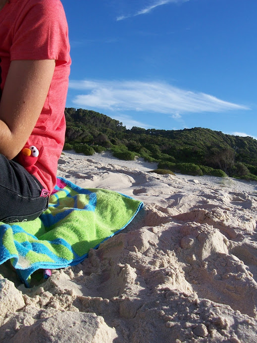 Elmo at the Beach
