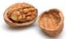 [walnut+brain]