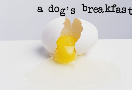 A Dog's Breakfast