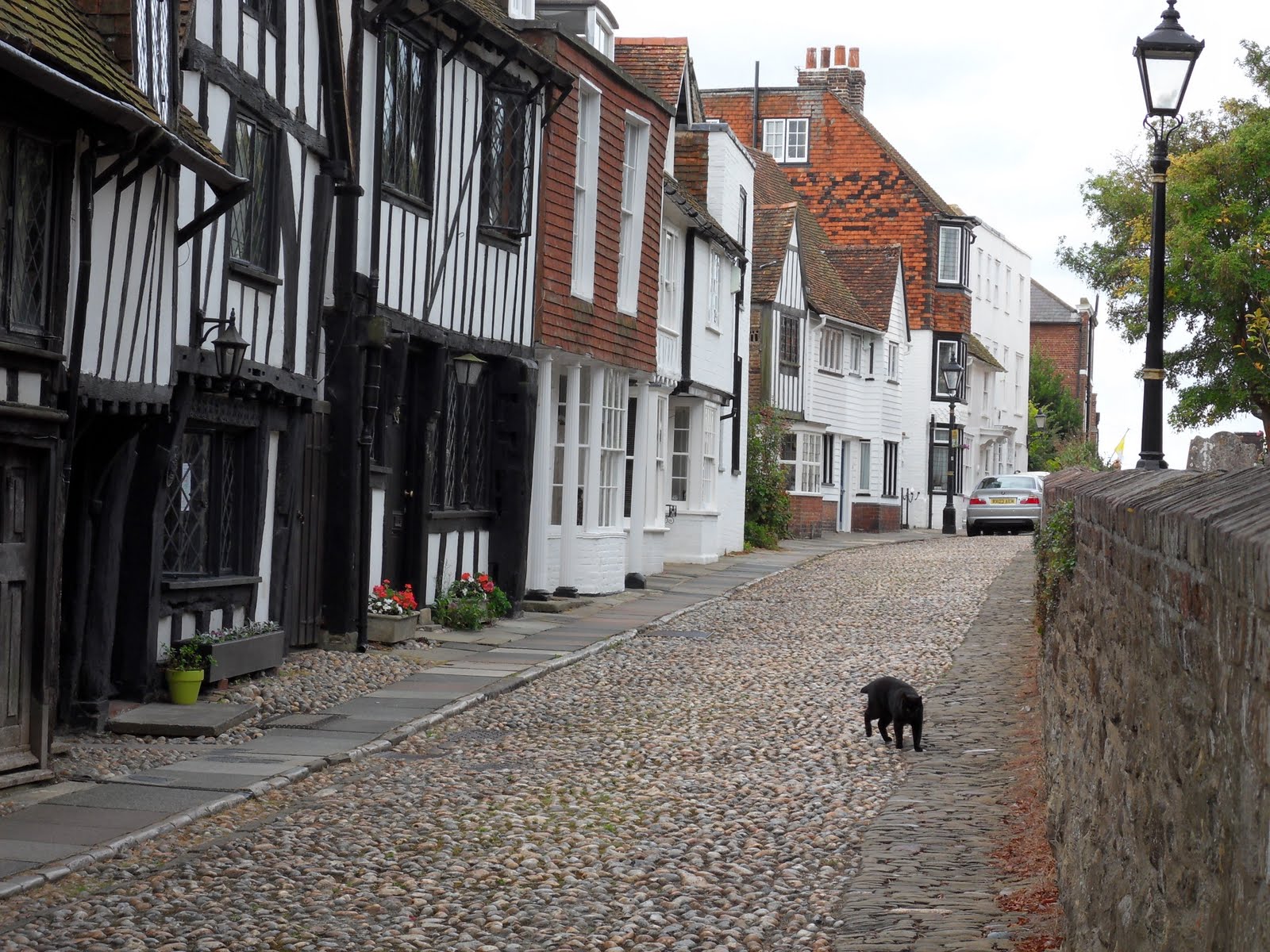 Rye Uk
