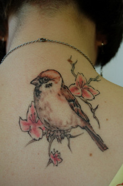 tattoo sparrow. female Sparrow Tattoo