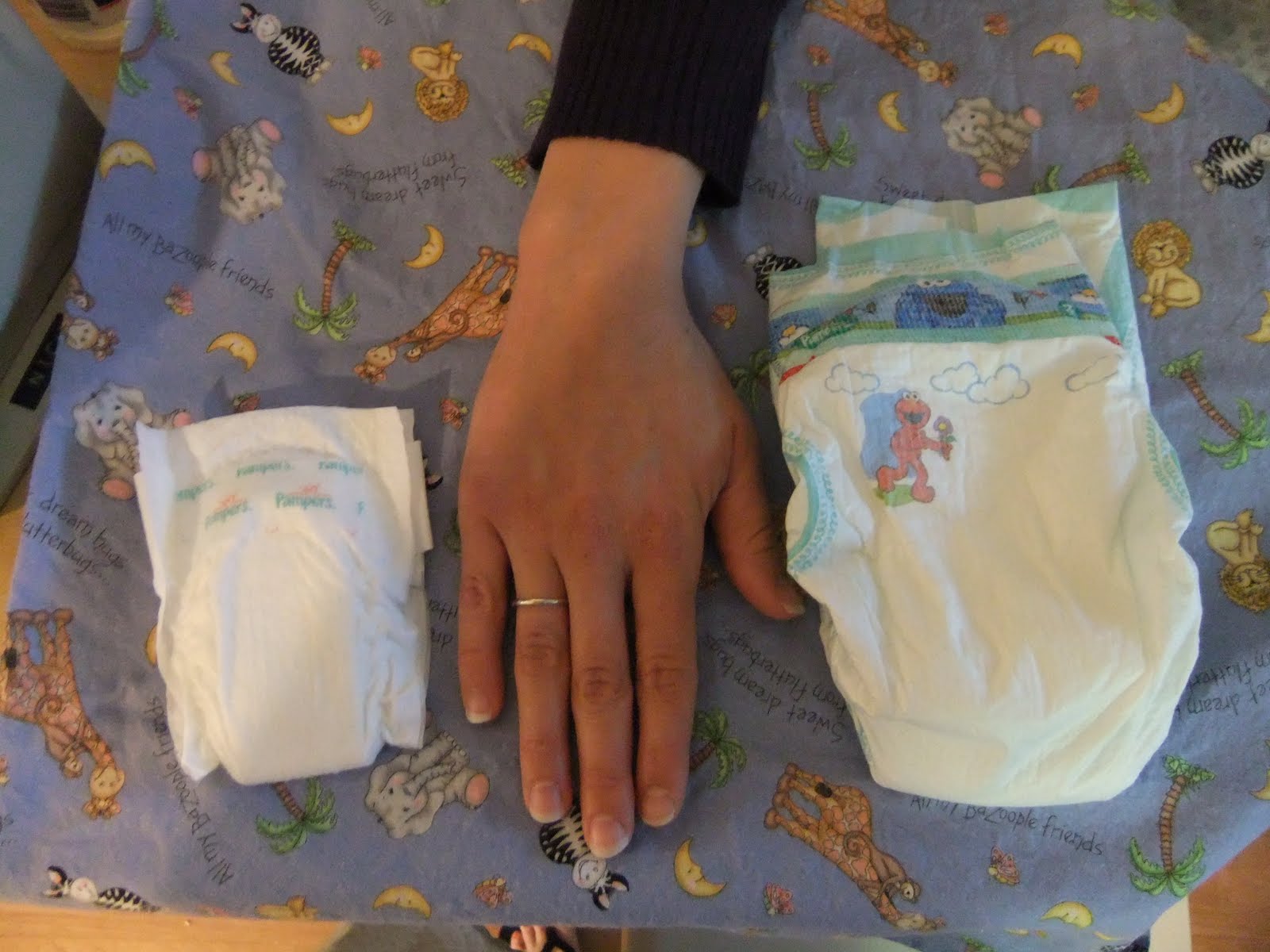 Parenting the Preemie Pope April 2010