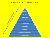 PIRAMIDE DE CONSERVACION