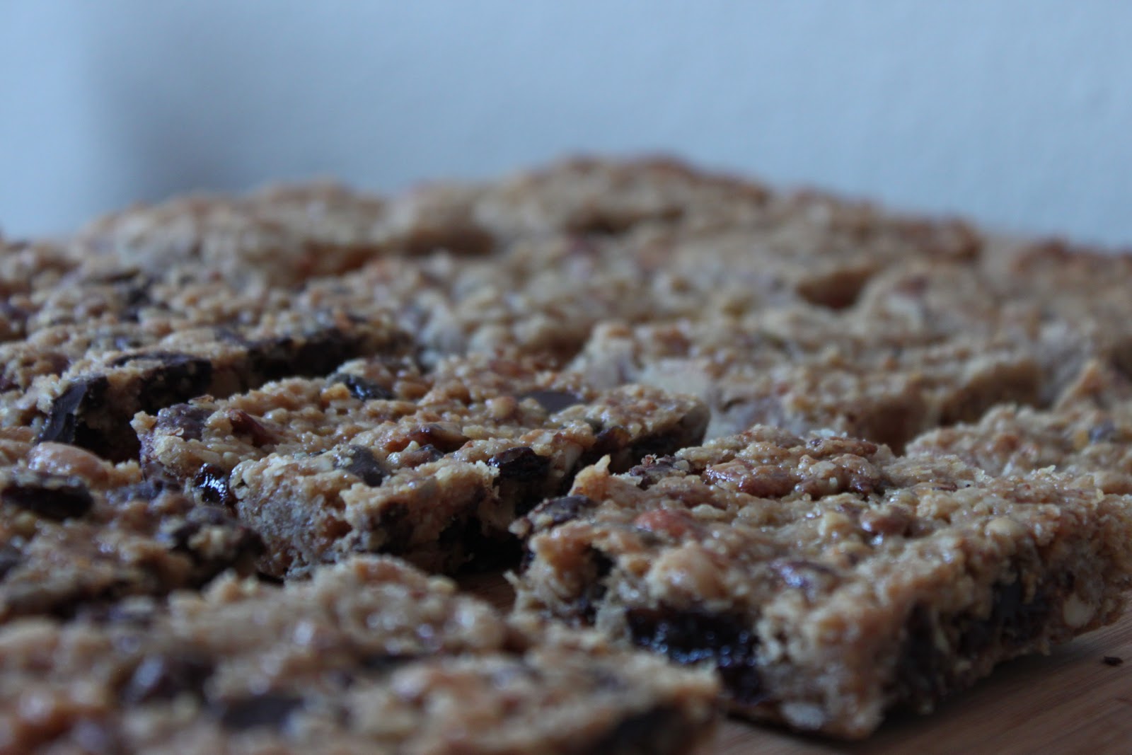 Squirrel Bakes Chewy Granola Bars