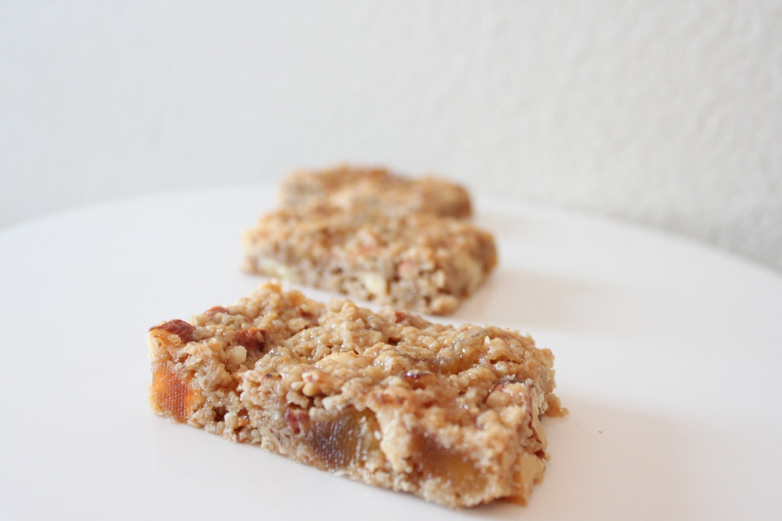 Squirrel Bakes Chewy Granola Bars