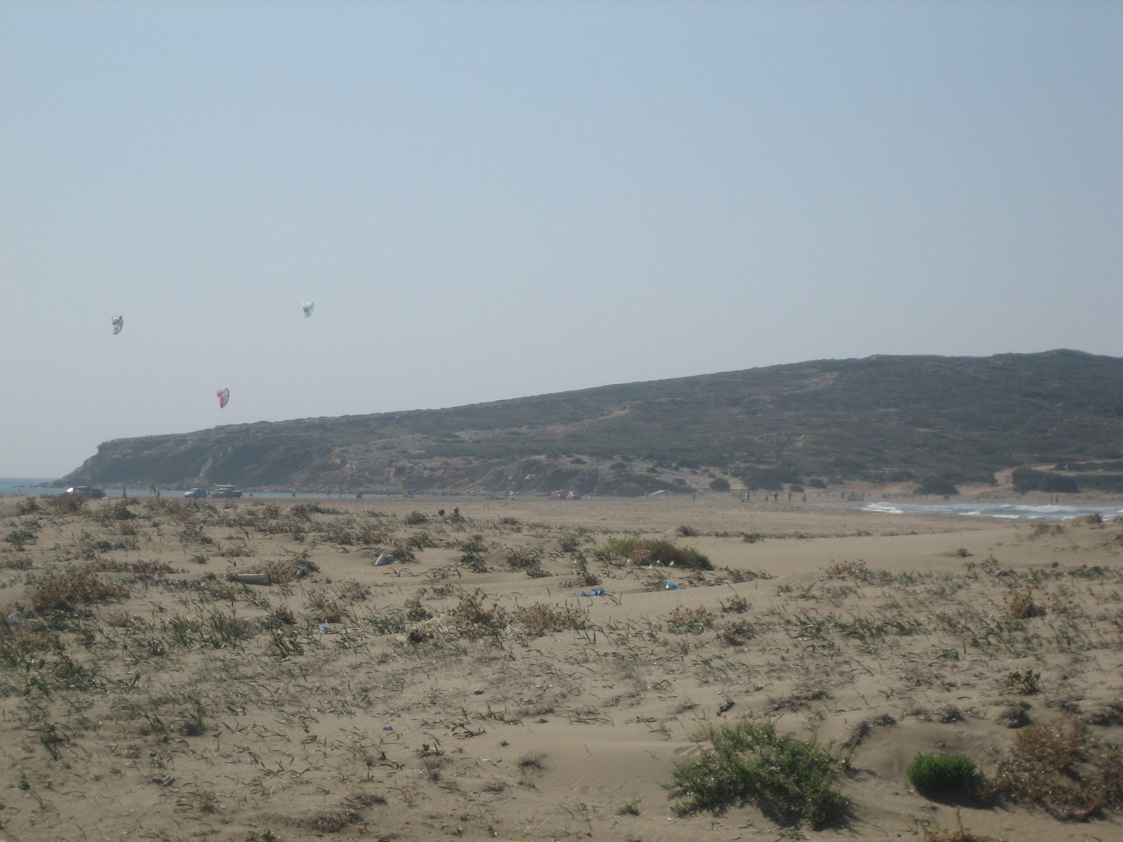 [IMG_8271.JPG]