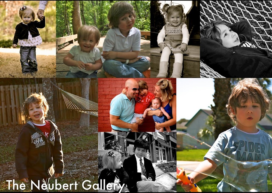 The Neubert Gallery