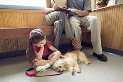 [Sick+dog+with+child,+parents--Jupiterimages--common--detail-55-87-22768755.jpg]