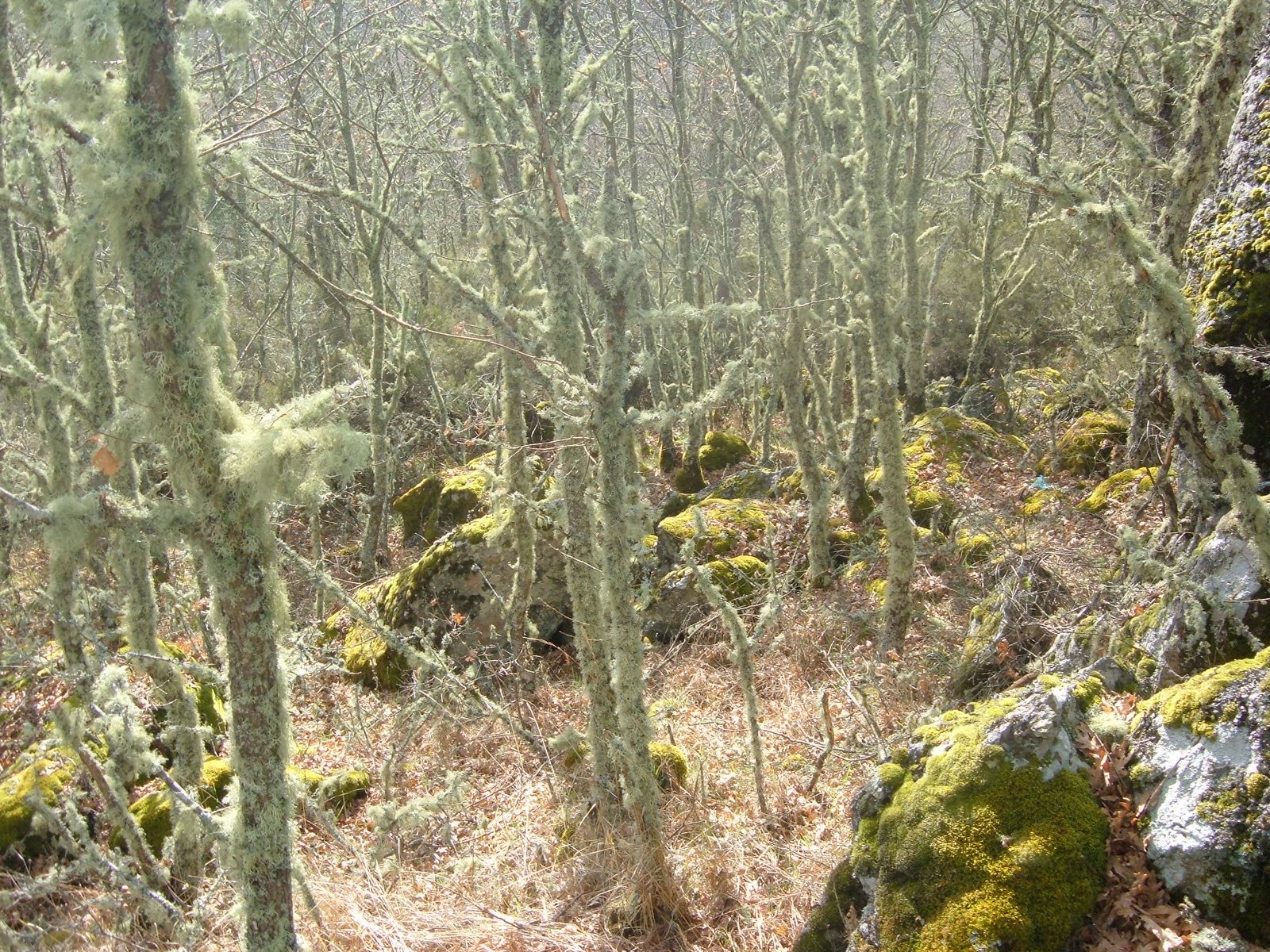 [DSCF0662.JPG]