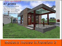 Modern House II