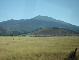Coconino/Kaibab National Forests