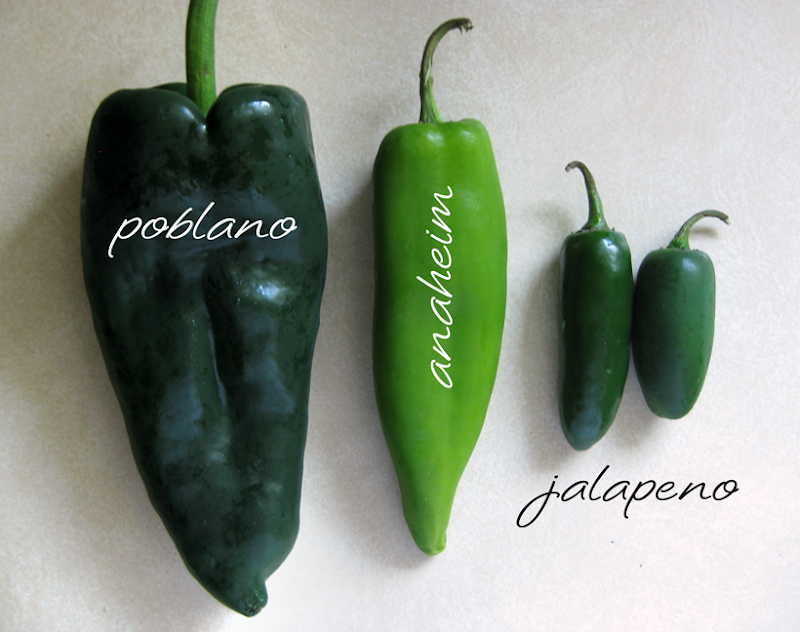 lillyella In the Kitchen Cinco de Mayo!