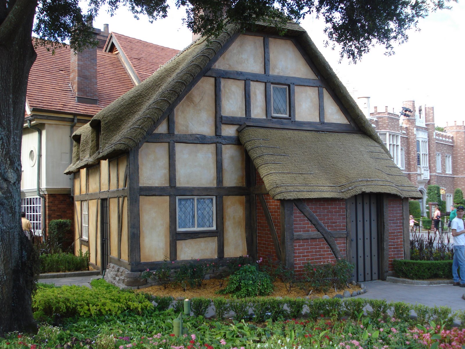 [DSC01697.JPG]