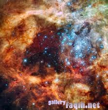 R136a1-bintang raksasa