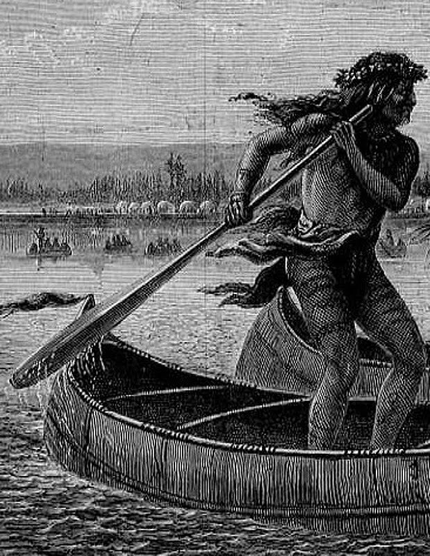 Paddle Making (and other canoe stuff) Historic Paddle Illustration