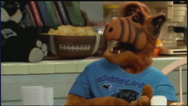 alf panthers