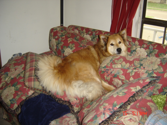 [CincodeMayo+027.JPG]