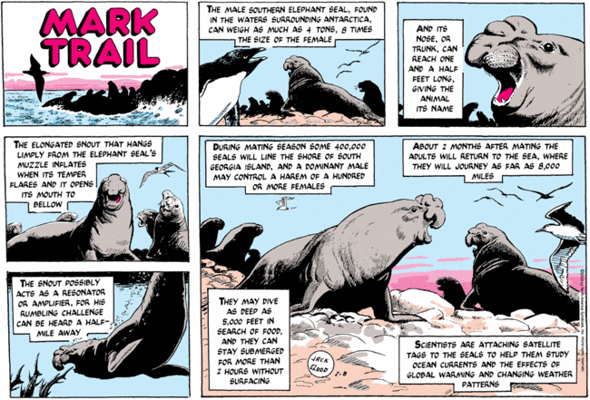 [Mark_Trail.gif]