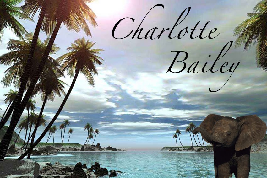 Charlotte Bailey Media Studies