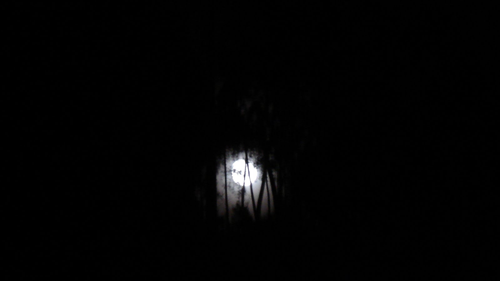 [Lua+005.jpg]