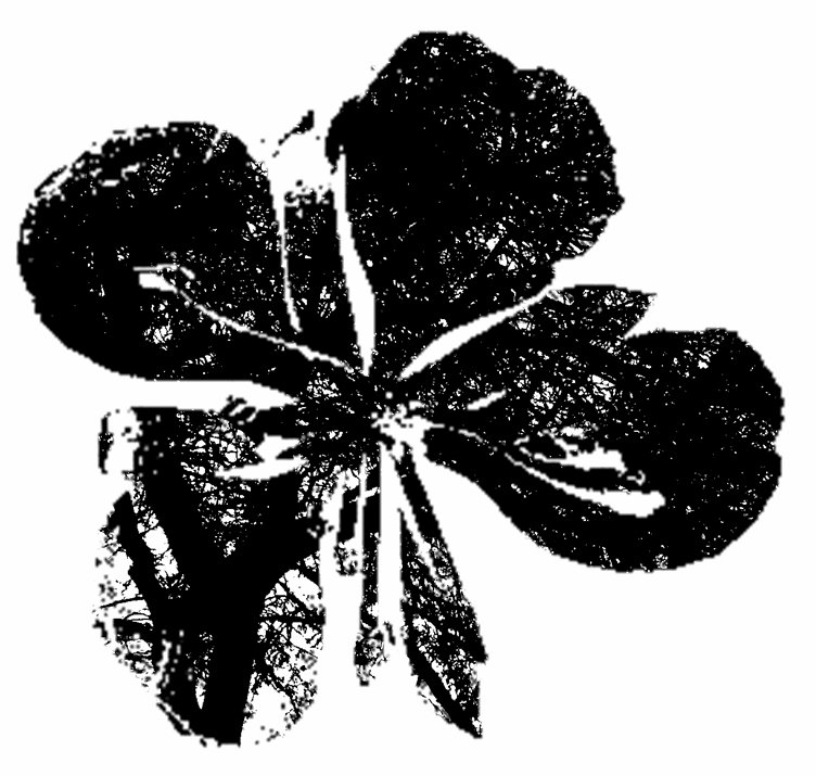 [Logo.bmp]