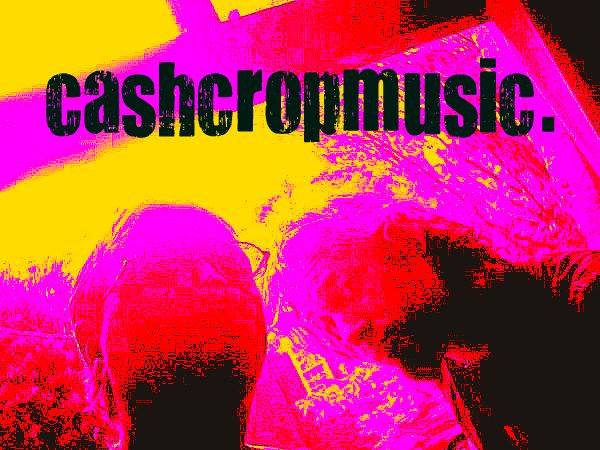 cashcropmusic