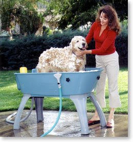 dog bathing