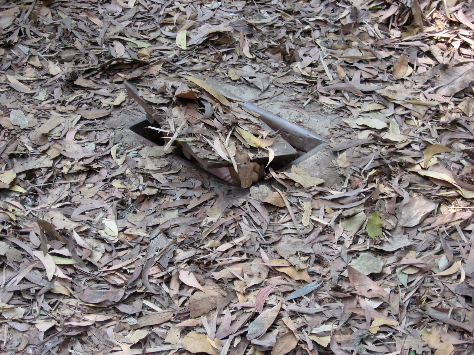 INSIDE THE VIET CONG TUNNELS Allan Stratton