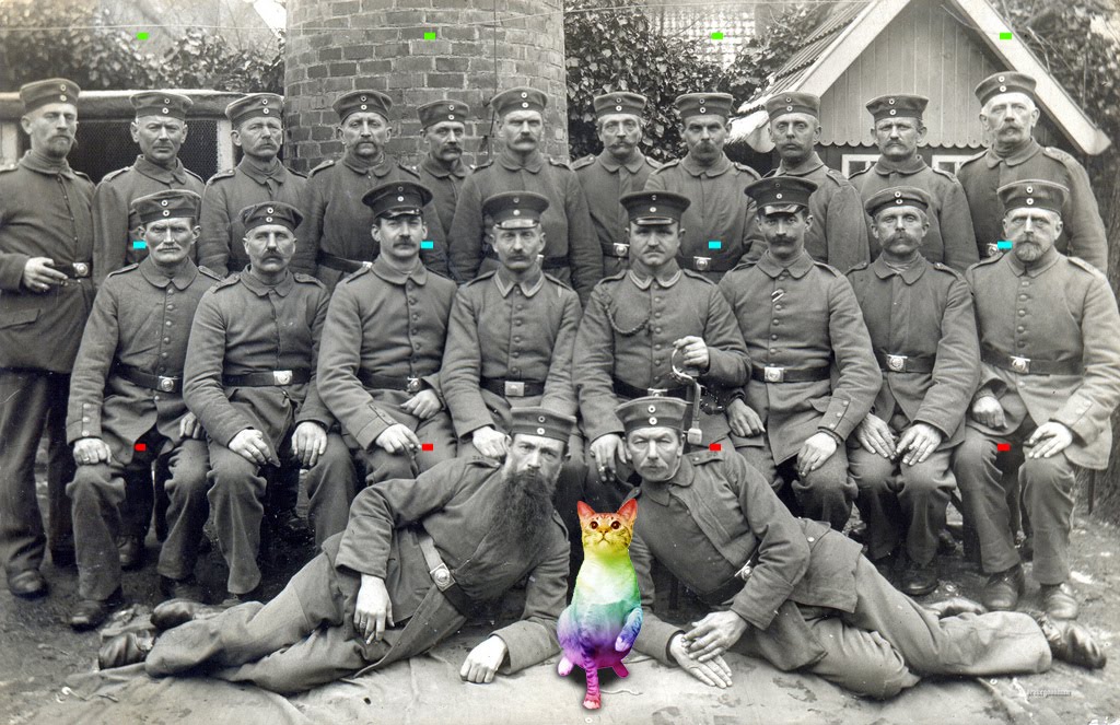 [rainbow+cat+copy.jpg]